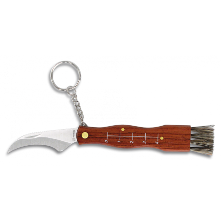 Hubársky nôž SETERA 6 cm